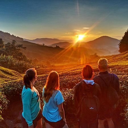 C1 Backpackers Hostel Cameron Highlands Exteriér fotografie